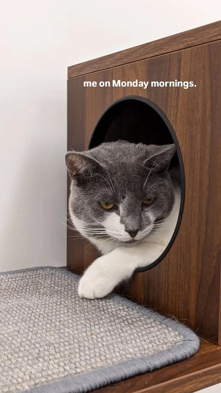 Monday Morning Mood